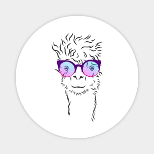 cute hipster llama in trendy colorful glasses Magnet